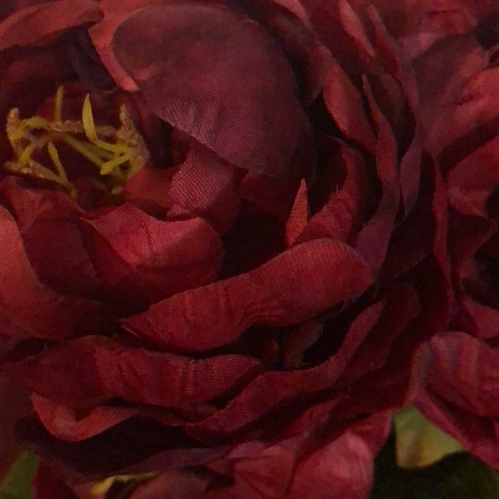 Meet your Posher, Miss